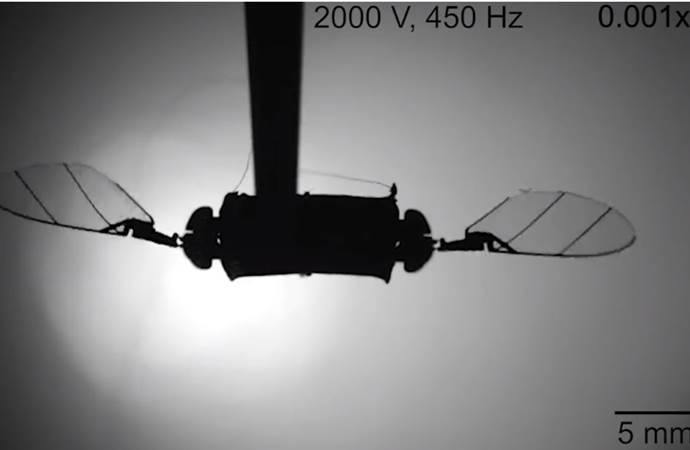 MIT - Designing a Soft-Actuated Aerial Microrobot